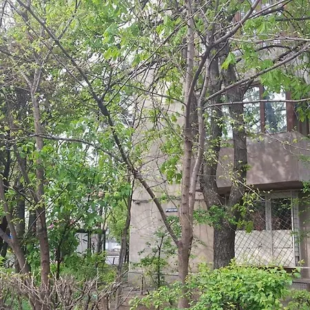 Apartment Eden